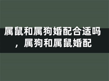 属鼠和属狗婚配合适吗,属狗和属鼠婚配