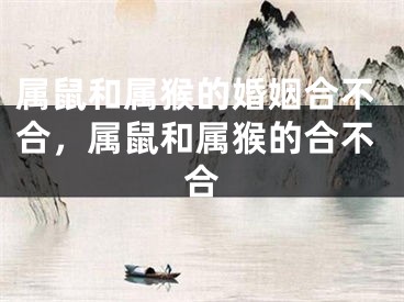 属鼠和属猴的婚姻合不合，属鼠和属猴的合不合