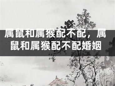 属鼠和属猴配不配，属鼠和属猴配不配婚姻