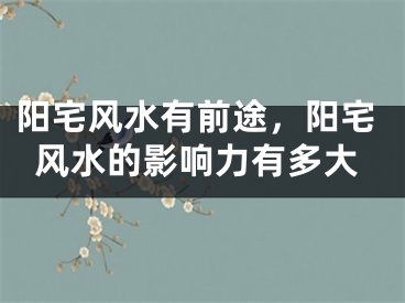 阳宅风水有前途,阳宅风水的影响力有多大