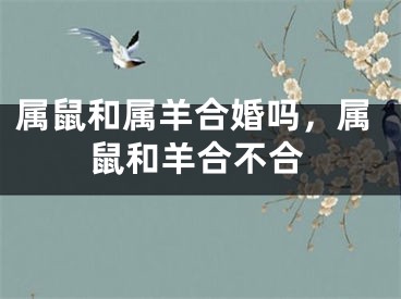 属鼠和属羊合婚吗，属鼠和羊合不合