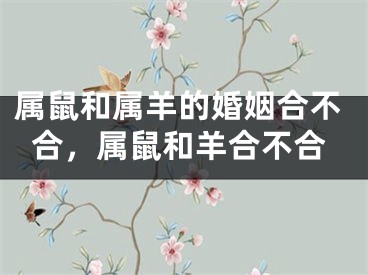属鼠和属羊的婚姻合不合，属鼠和羊合不合