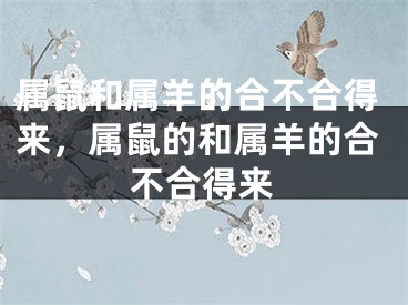 属鼠和属羊的合不合得来，属鼠的和属羊的合不合得来