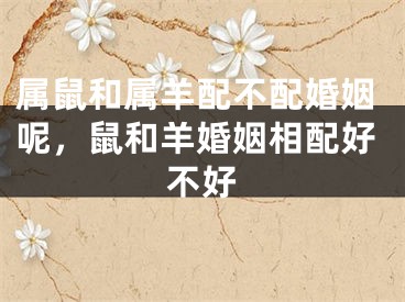 属鼠和属羊配不配婚姻呢，鼠和羊婚姻相配好不好