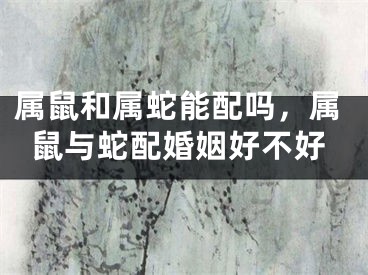 属鼠和属蛇能配吗，属鼠与蛇配婚姻好不好