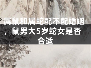 属鼠和属蛇配不配婚姻，鼠男大5岁蛇女是否合适