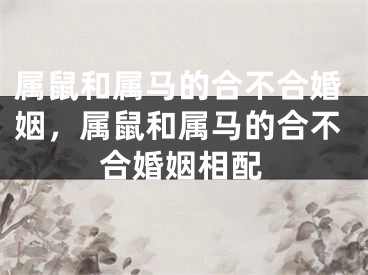 属鼠和属马的合不合婚姻，属鼠和属马的合不合婚姻相配