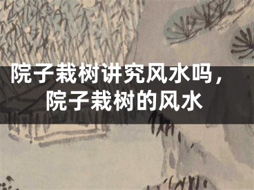 院子栽树讲究风水吗,院子栽树的风水
