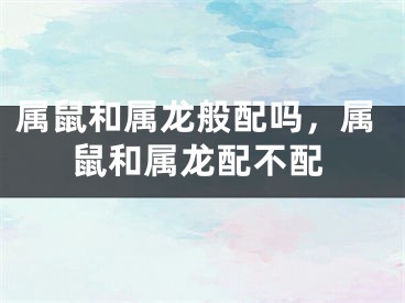属鼠和属龙般配吗，属鼠和属龙配不配