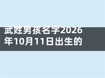 武姓男孩名字2026年10月11日出生的