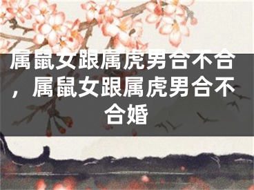 属鼠女跟属虎男合不合,属鼠女跟属虎男合不合婚