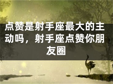 点赞是射手座最大的主动吗,射手座点赞你朋友圈
