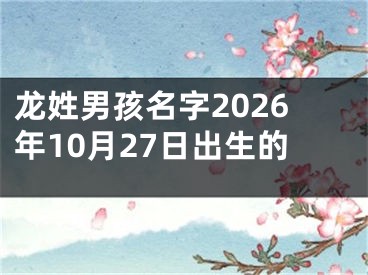 龙姓男孩名字2026年10月27日出生的