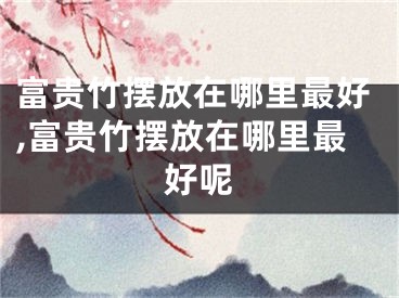 富贵竹摆放在哪里最好,富贵竹摆放在哪里最好呢