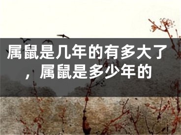 属鼠是几年的有多大了，属鼠是多少年的