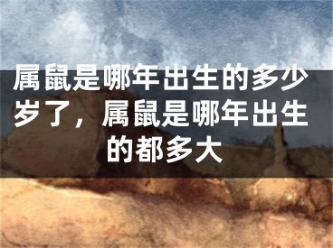属鼠是哪年出生的多少岁了，属鼠是哪年出生的都多大