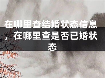在哪里查结婚状态信息,在哪里查是否已婚状态