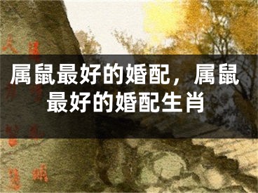 属鼠最好的婚配，属鼠最好的婚配生肖