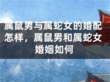 属鼠男与属蛇女的婚配怎样，属鼠男和属蛇女婚姻如何