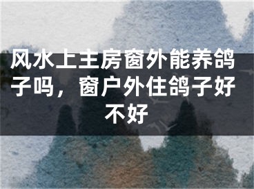 风水上主房窗外能养鸽子吗，窗户外住鸽子好不好