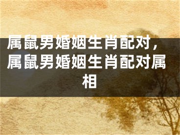属鼠男婚姻生肖配对,属鼠男婚姻生肖配对属相