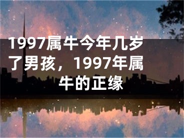 1997属牛今年几岁了男孩，1997年属牛的正缘