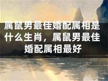 属鼠男最佳婚配属相是什么生肖，属鼠男最佳婚配属相最好