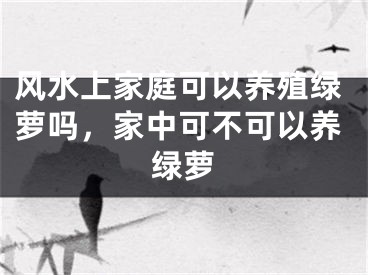 风水上家庭可以养殖绿萝吗，家中可不可以养绿萝