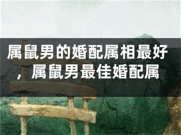 属鼠男的婚配属相最好,属鼠男最佳婚配属