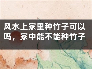 风水上家里种竹子可以吗,家中能不能种竹子