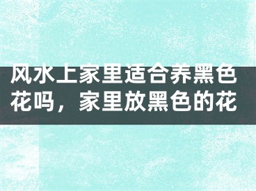 风水上家里适合养黑色花吗,家里放黑色的花