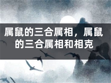 属鼠的三合属相，属鼠的三合属相和相克