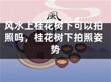 风水上桂花树下可以拍照吗,桂花树下拍照姿势