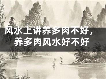 风水上讲养多肉不好,养多肉风水好不好