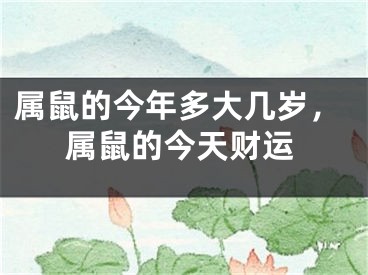 属鼠的今年多大几岁，属鼠的今天财运