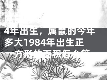 属鼠的今年多大1984年出生，属鼠的今年多大1984年出生正方形的面积怎么算