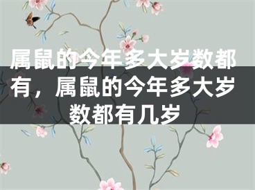 属鼠的今年多大岁数都有，属鼠的今年多大岁数都有几岁
