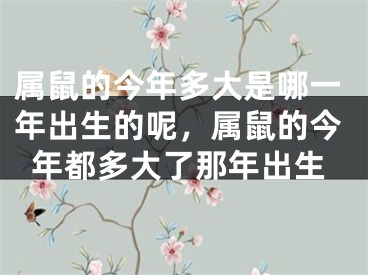 属鼠的今年多大是哪一年出生的呢，属鼠的今年都多大了那年出生