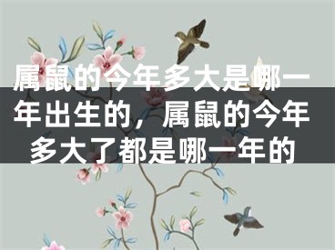 属鼠的今年多大是哪一年出生的，属鼠的今年多大了都是哪一年的