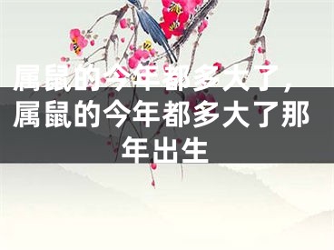 属鼠的今年都多大了，属鼠的今年都多大了那年出生