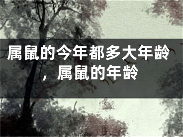属鼠的今年都多大年龄，属鼠的年龄