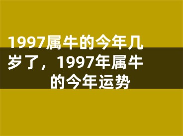 1997属牛的今年几岁了，1997年属牛的今年运势