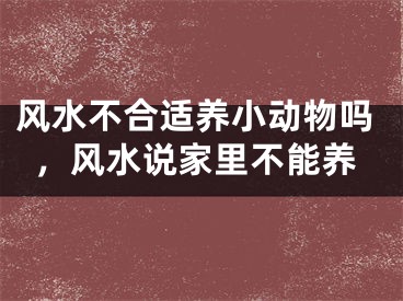 风水不合适养小动物吗,风水说家里不能养