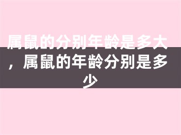 属鼠的分别年龄是多大,属鼠的年龄分别是多少