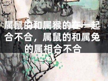 属鼠的和属猴的在一起合不合，属鼠的和属兔的属相合不合