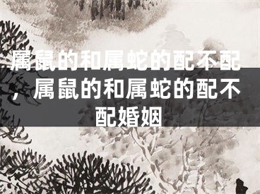 属鼠的和属蛇的配不配,属鼠的和属蛇的配不配婚姻