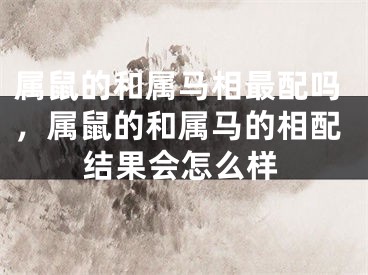 属鼠的和属马相最配吗,属鼠的和属马的相配结果会怎么样