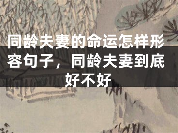 同龄夫妻的命运怎样形容句子，同龄夫妻到底好不好