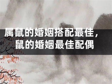 属鼠的婚姻搭配最佳，鼠的婚姻最佳配偶