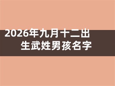 2026年九月十二出生武姓男孩名字